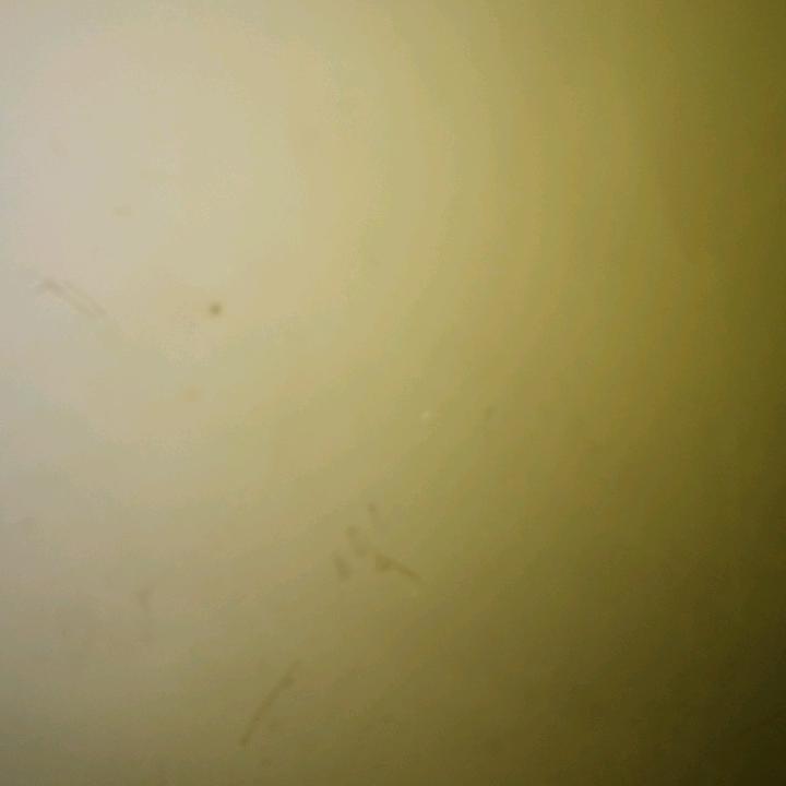 石飞云