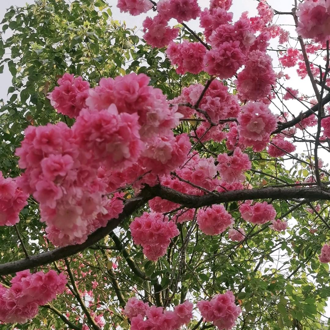 一切随缘：拒绝私聊