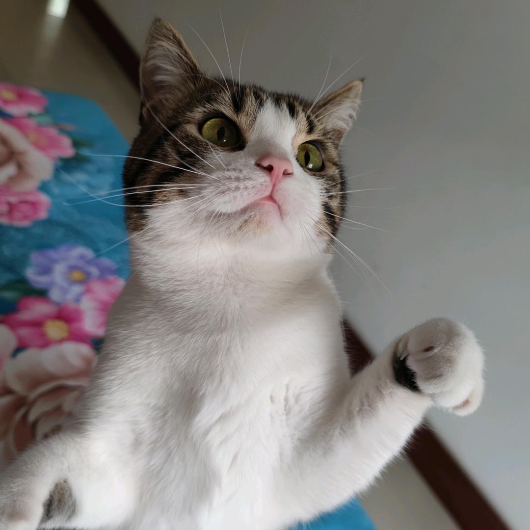 用户5378048051118