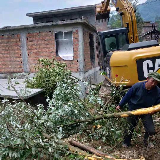 半辈子的心血毁于一旦