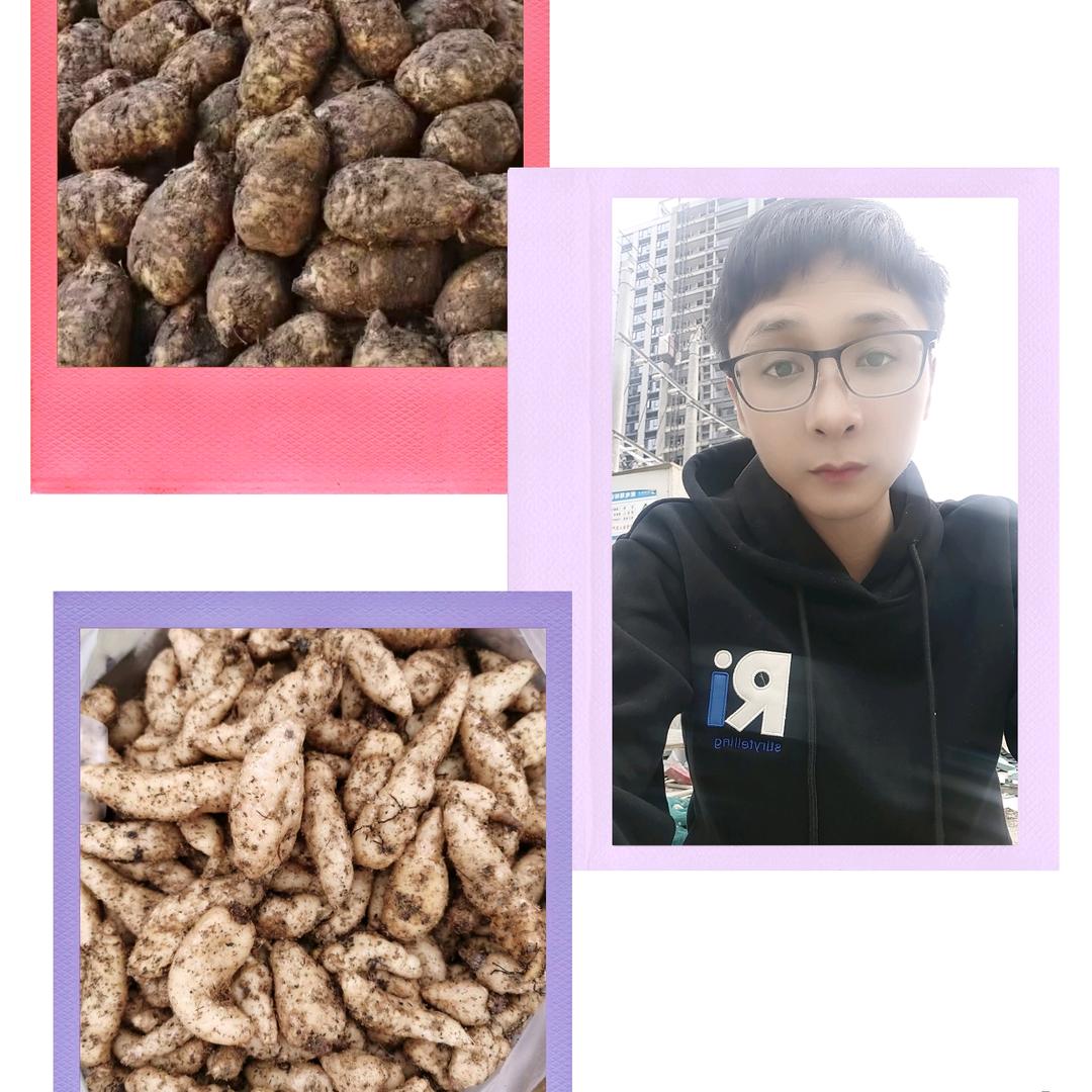 林源天麻合作社，天麻供应链批发零售