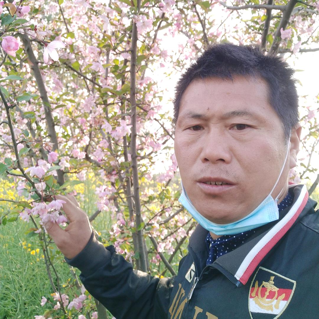 石习海流动家厨，全包带菜