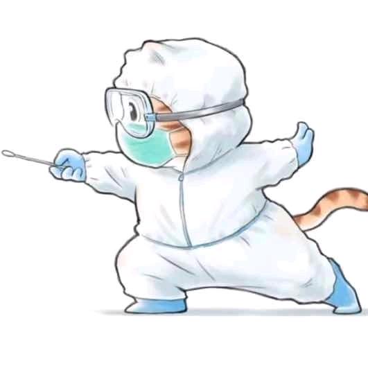 十一