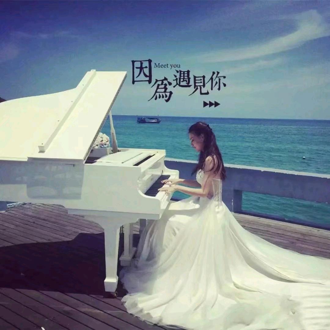 鑫杞点