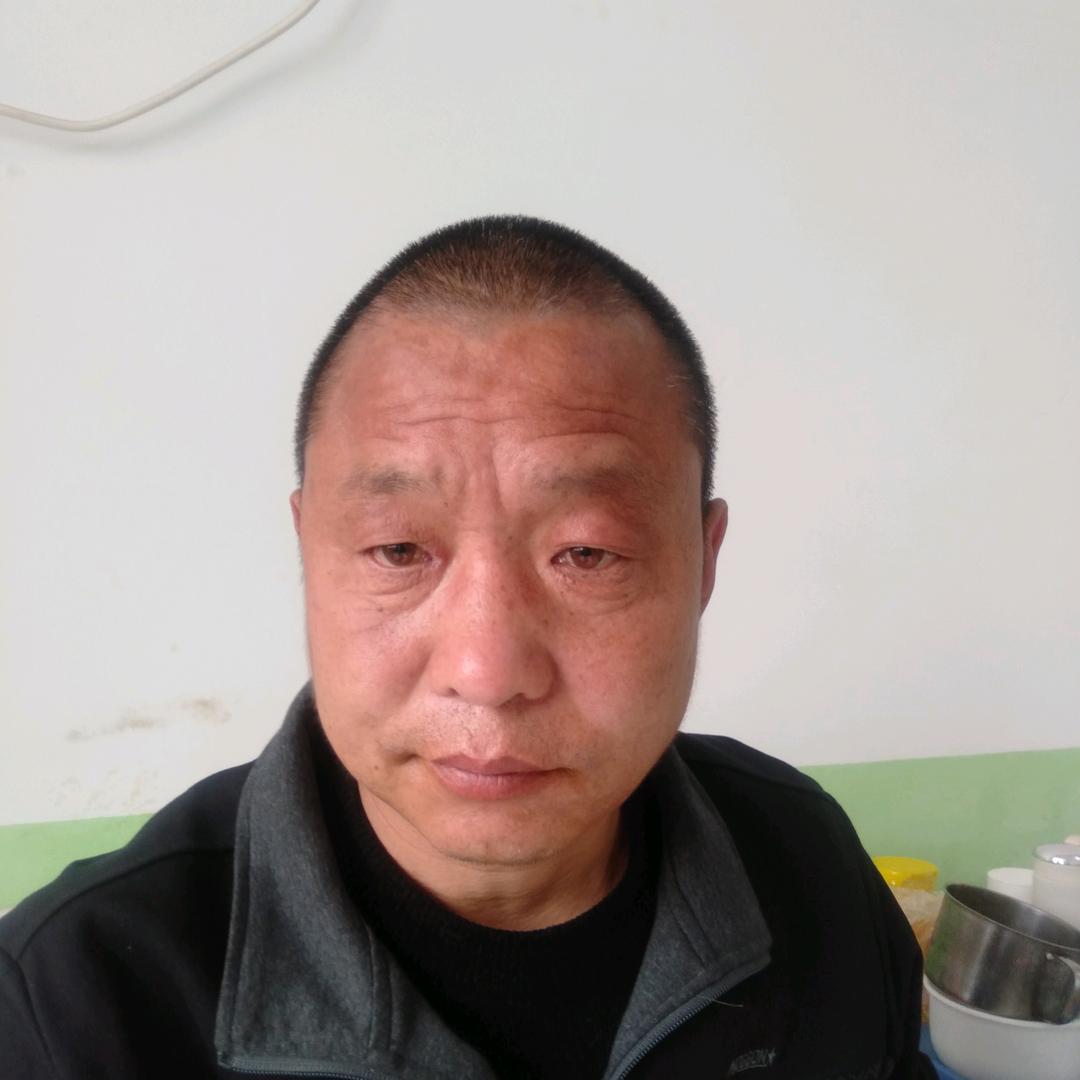 《老马》七点开播