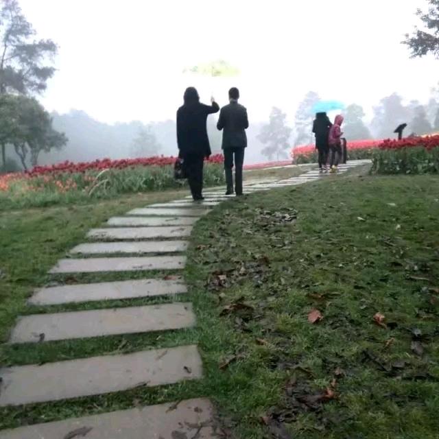 龙晨飞洋☀️vierra