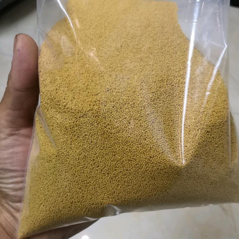 元创泡泡泡球鱼饵