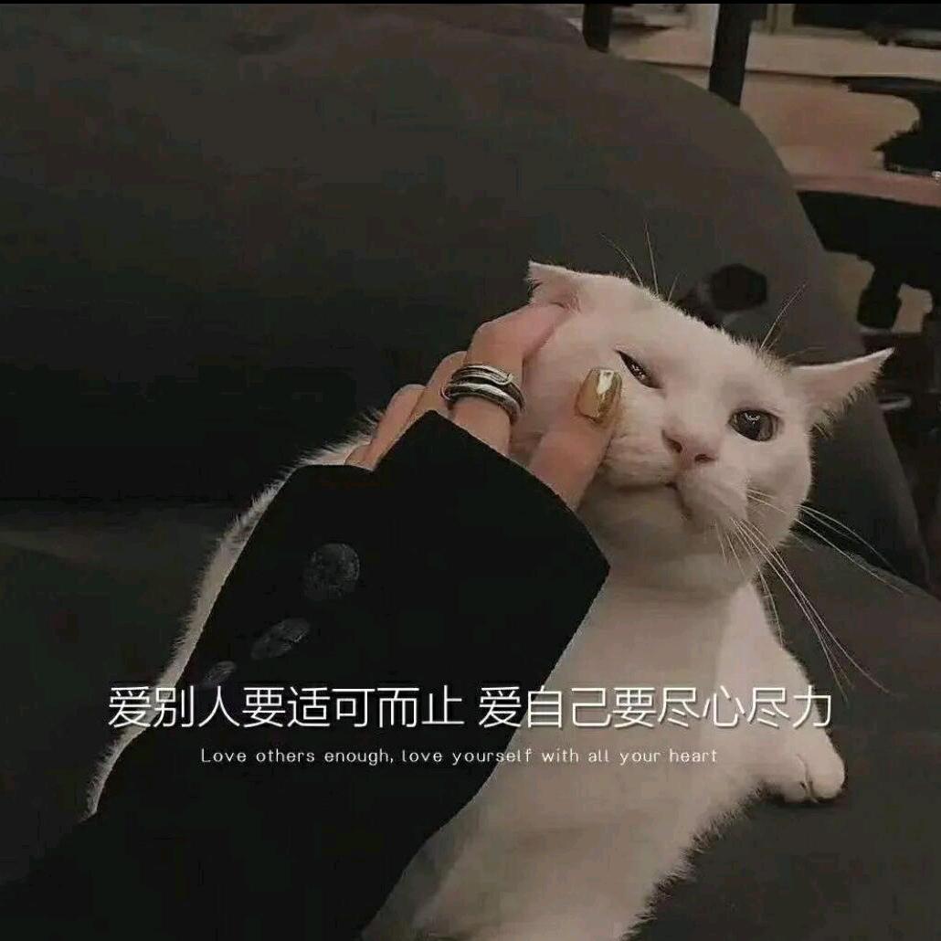追光者
