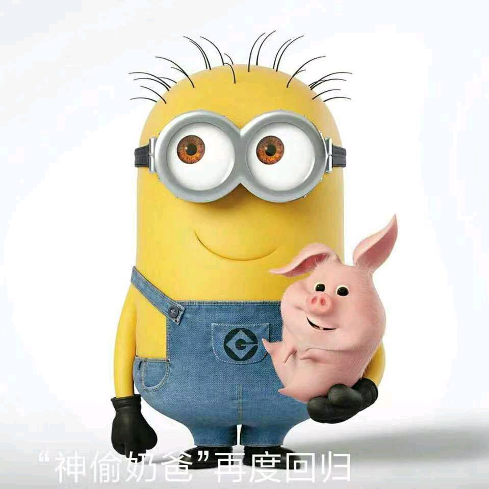 不会守门的小二侠