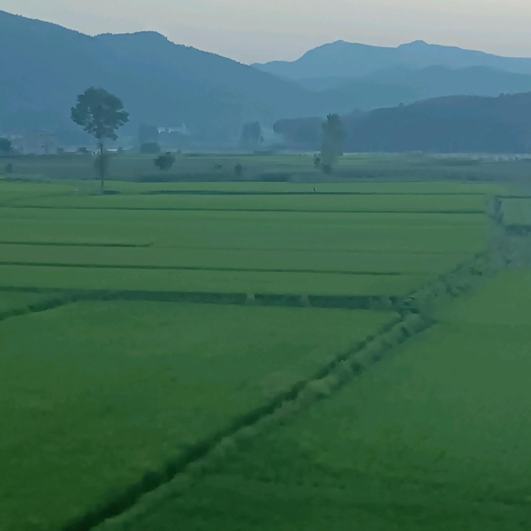 怡剪缘,勇哥