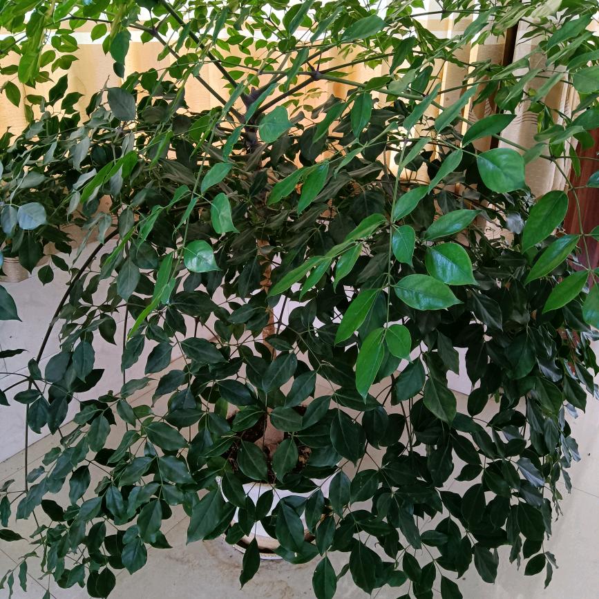好好爱自己才是好