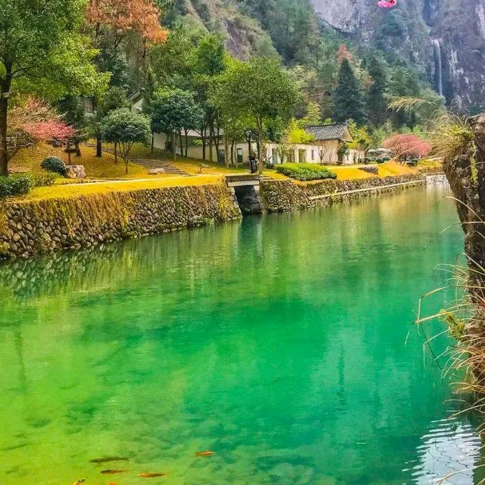 用户心想柿橙