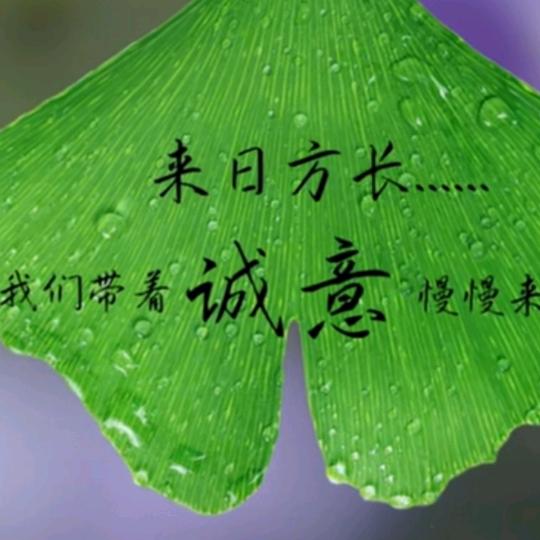 章鱼🐙小丸子