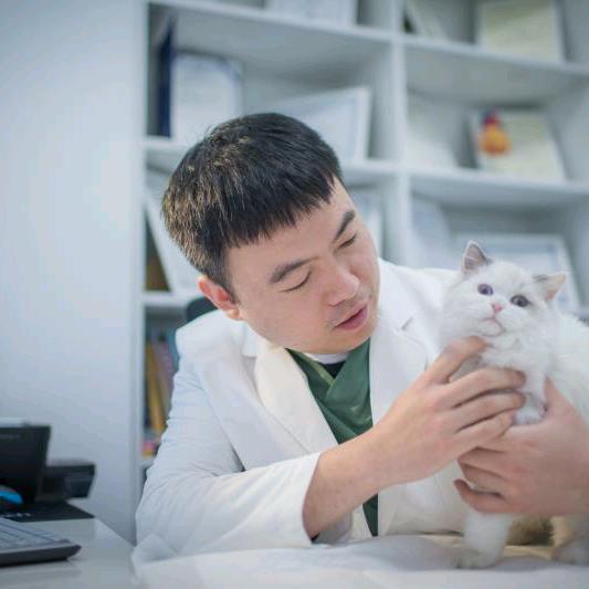 宠物内科医生杜杜