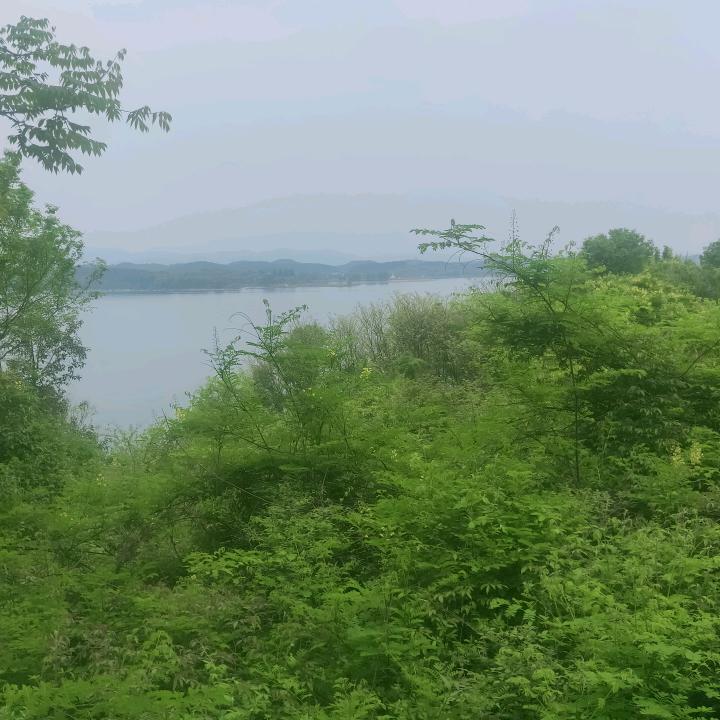 ☞傻丫头☜