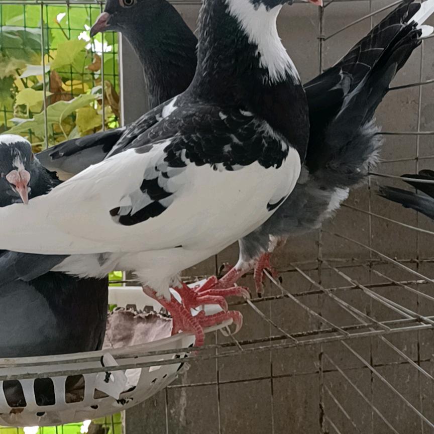阳光