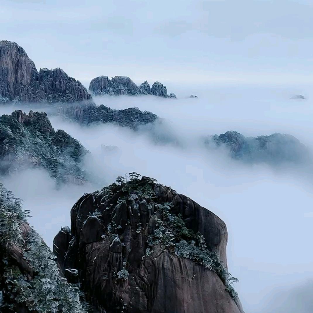 柠檬