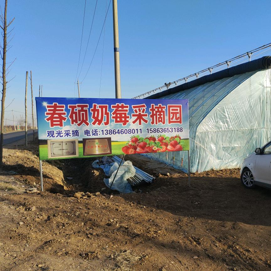 春硕奶莓采摘园