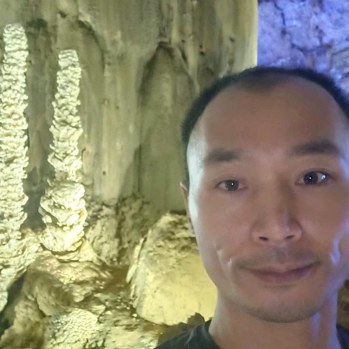 冲动的惩罚