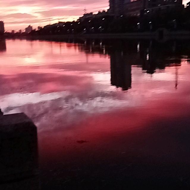 怎么开心怎么活