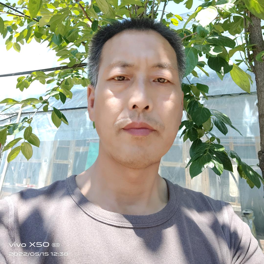 一花一世界，一叶一菩提，