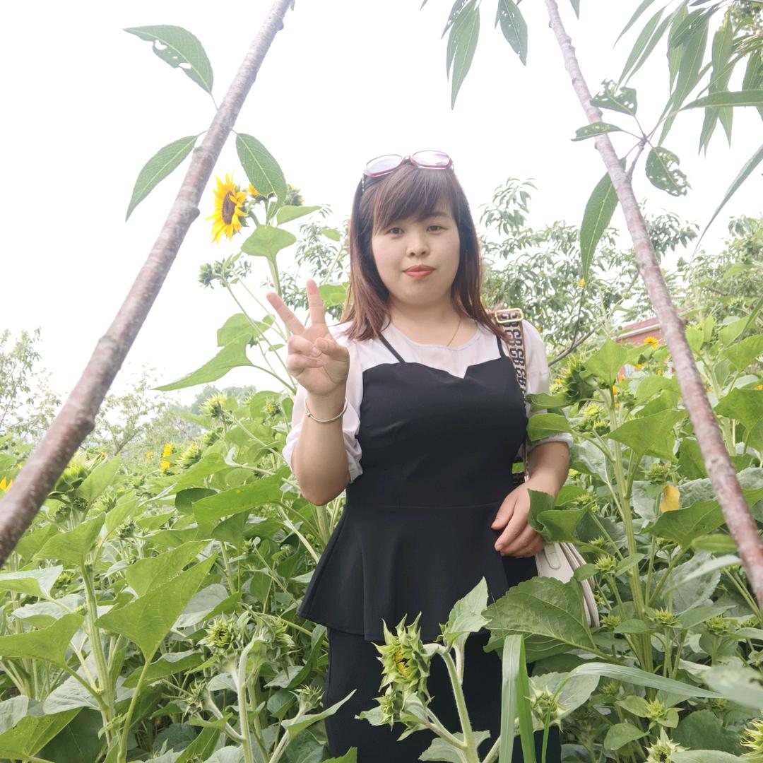 平平淡淡