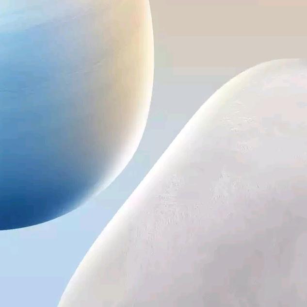 鱼雨