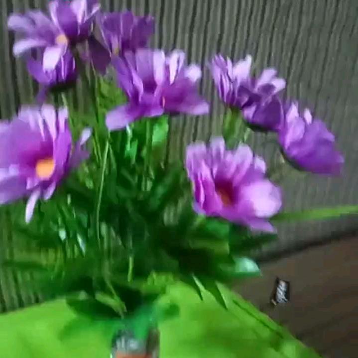 伤透的心单亲妈妈