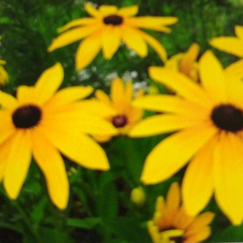 我想和你一起去远方