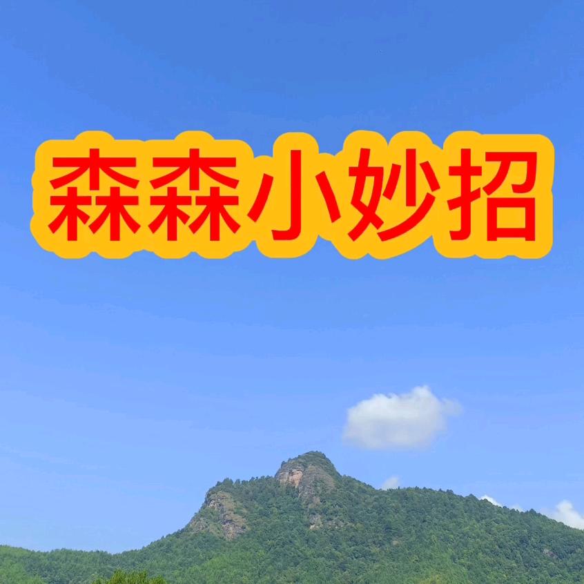 森森小妙招