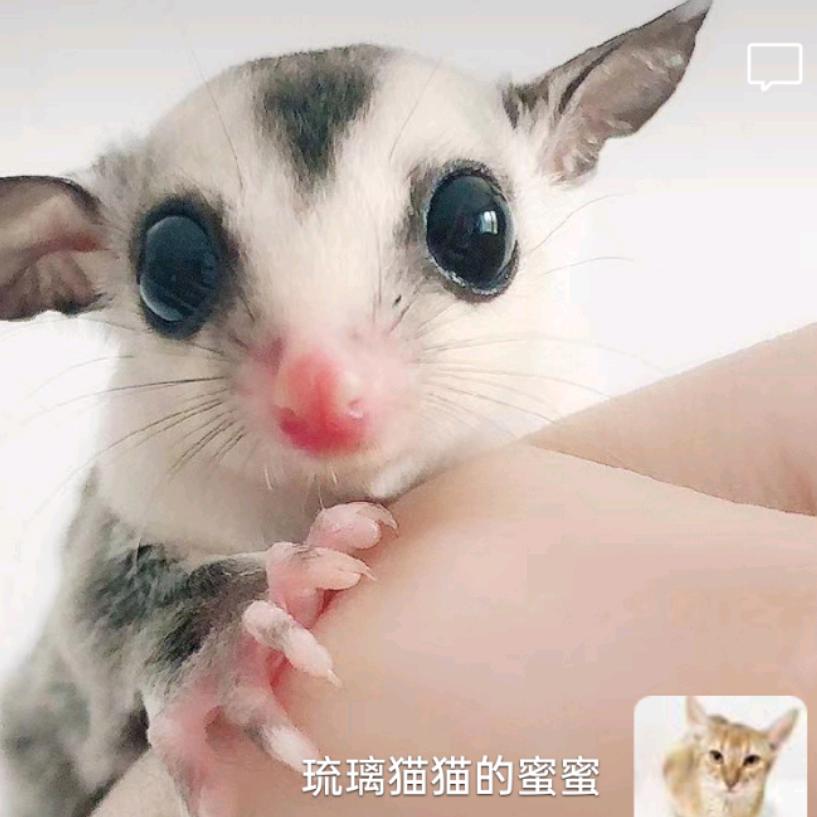 一地琉璃