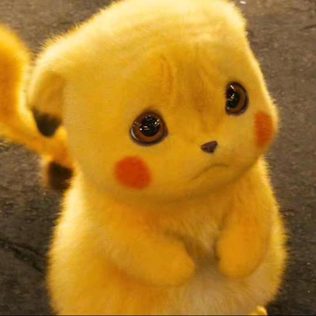 🌈熙熙、小懒虫