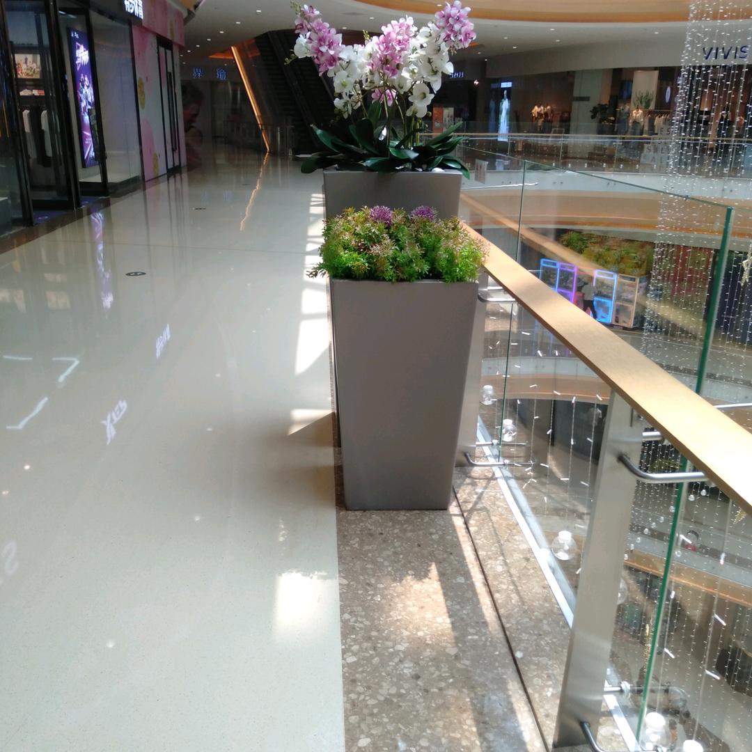 明媚的阳光