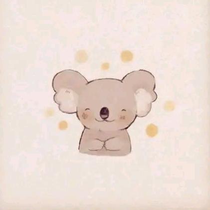 🐨考拉向日葵