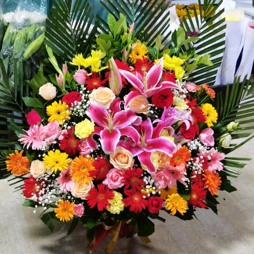 诚诚鲜花