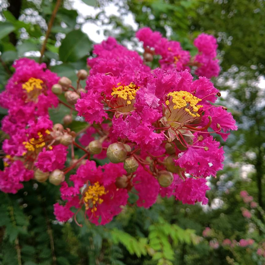 💖河南的媳妇湖北妞💖