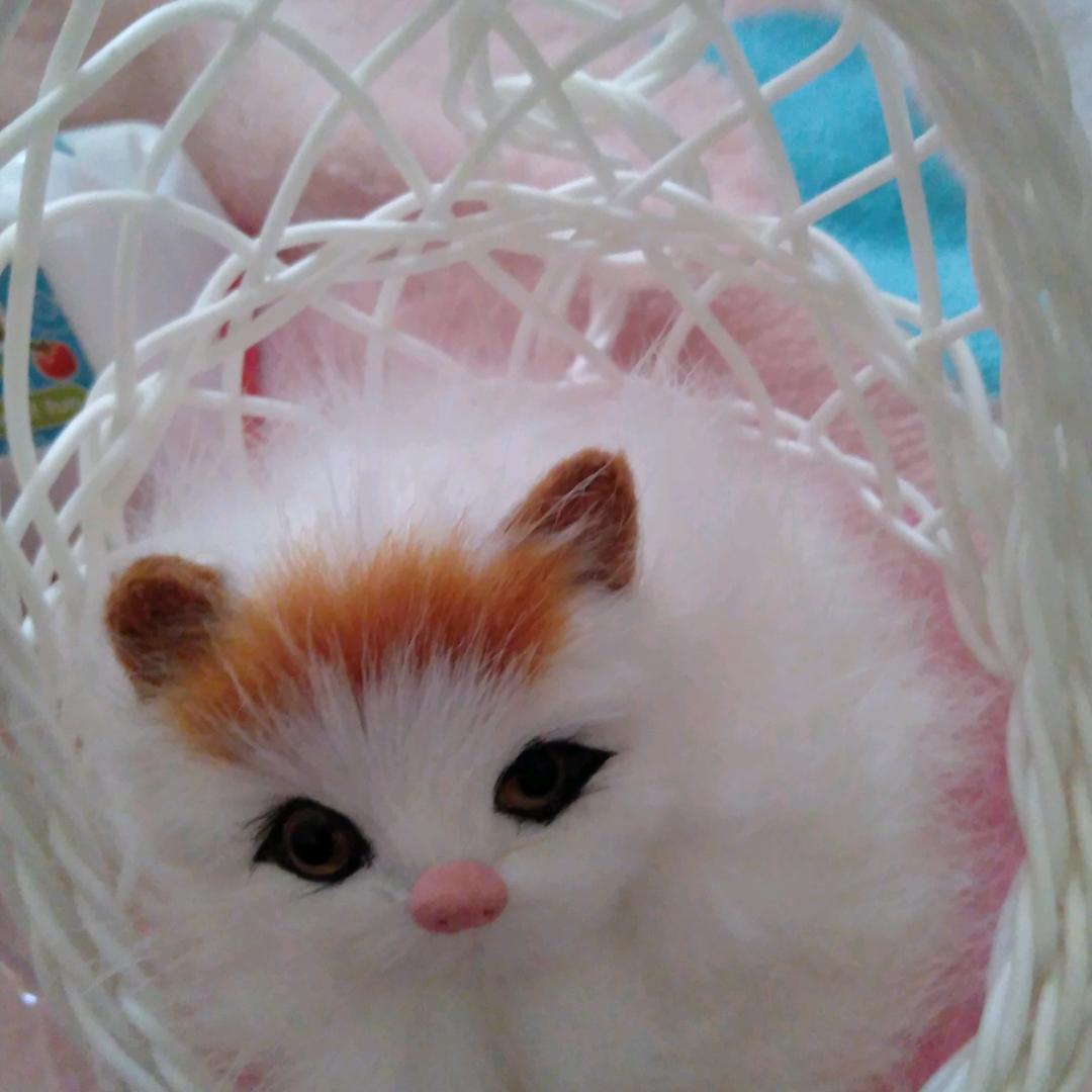 娅娅