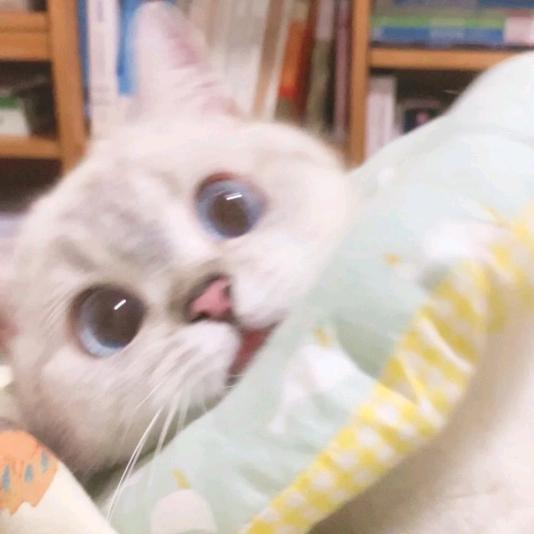nn。