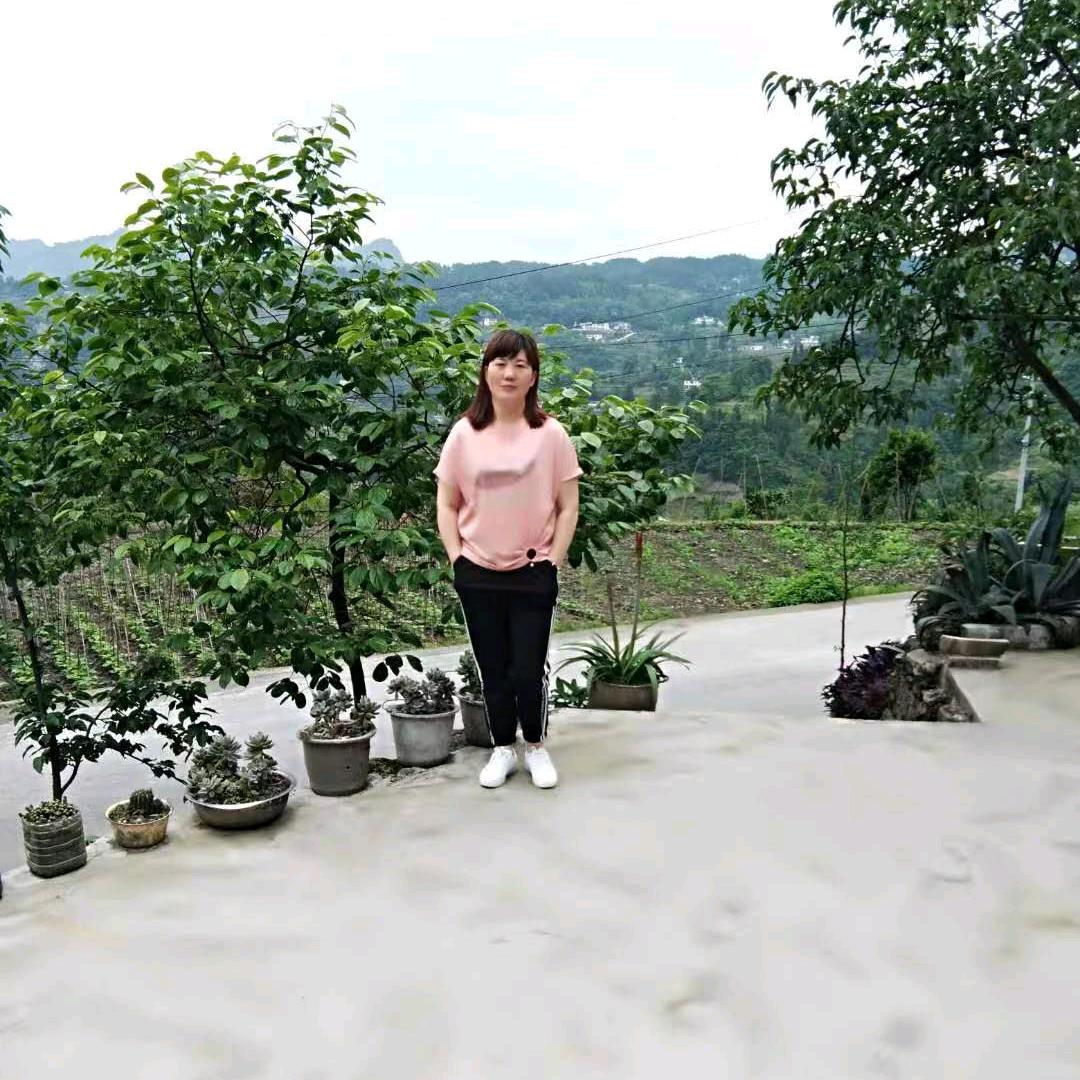田慧