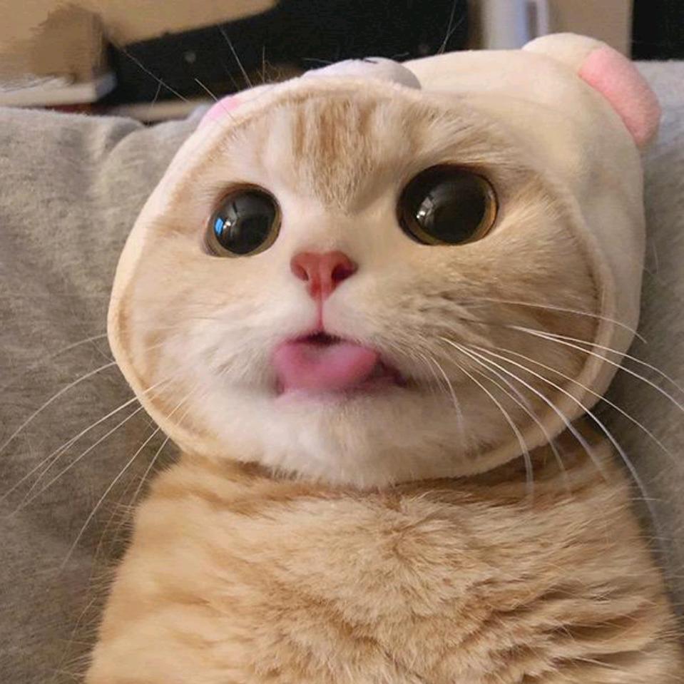h0