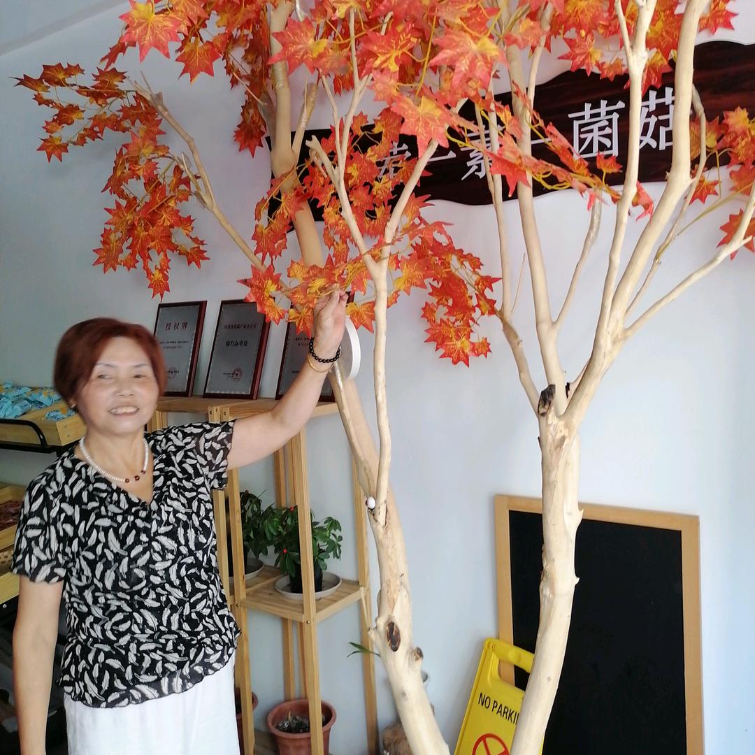 潇潇洒洒每一天