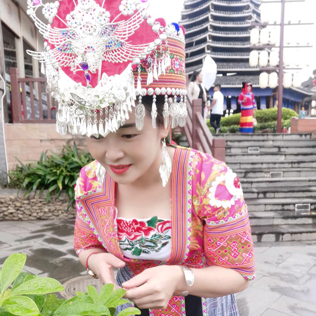 燕子🌸