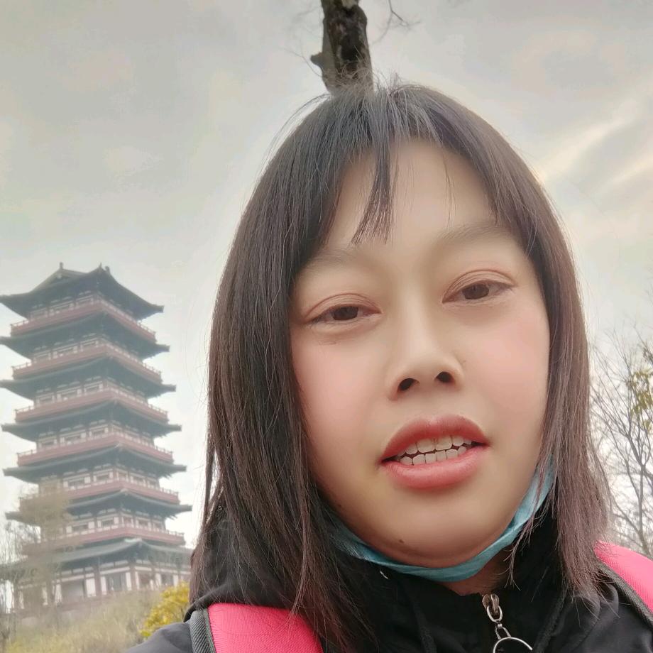 杨会