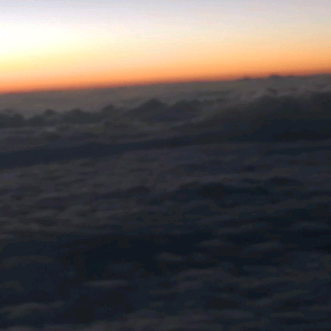 收购籽花草虫阿正