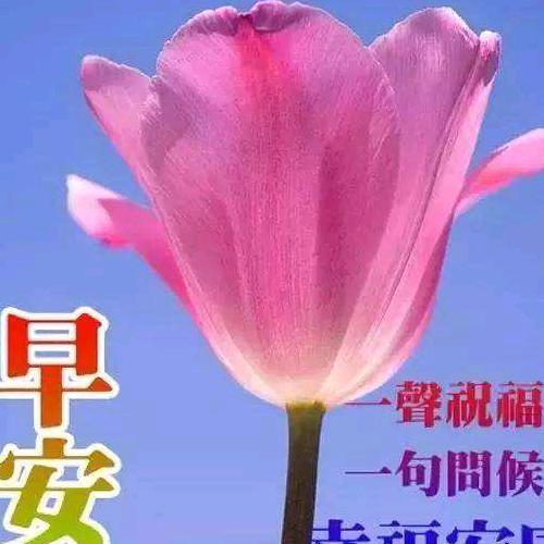 心里的戈壁