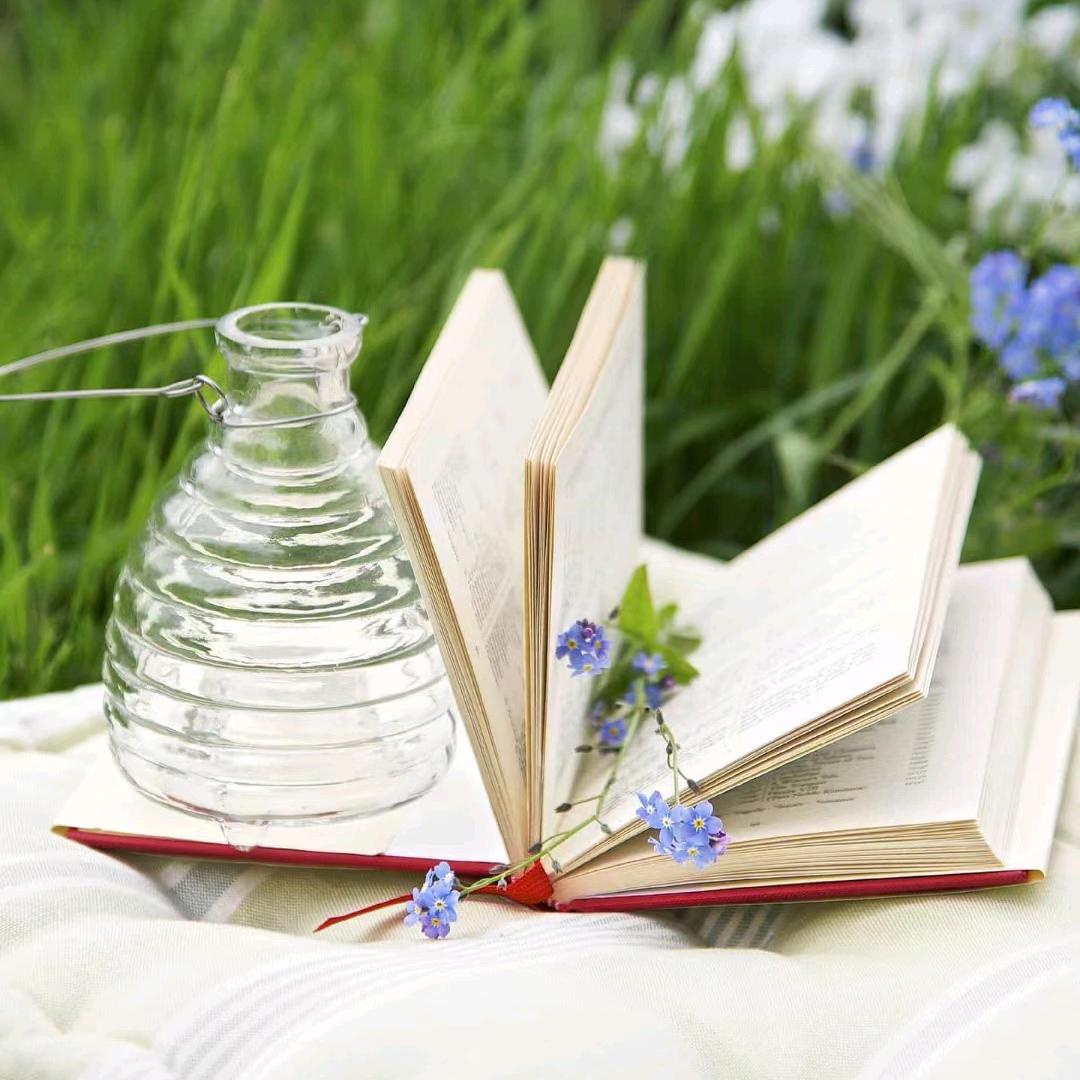 阳光  绘本馆🌻（橱窗有好物）