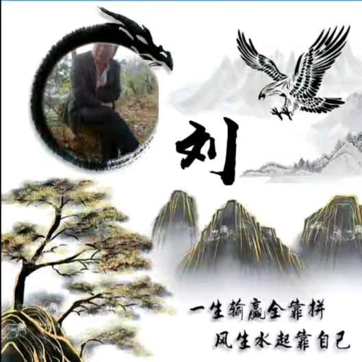 我姓刘，确留不住你的❤️