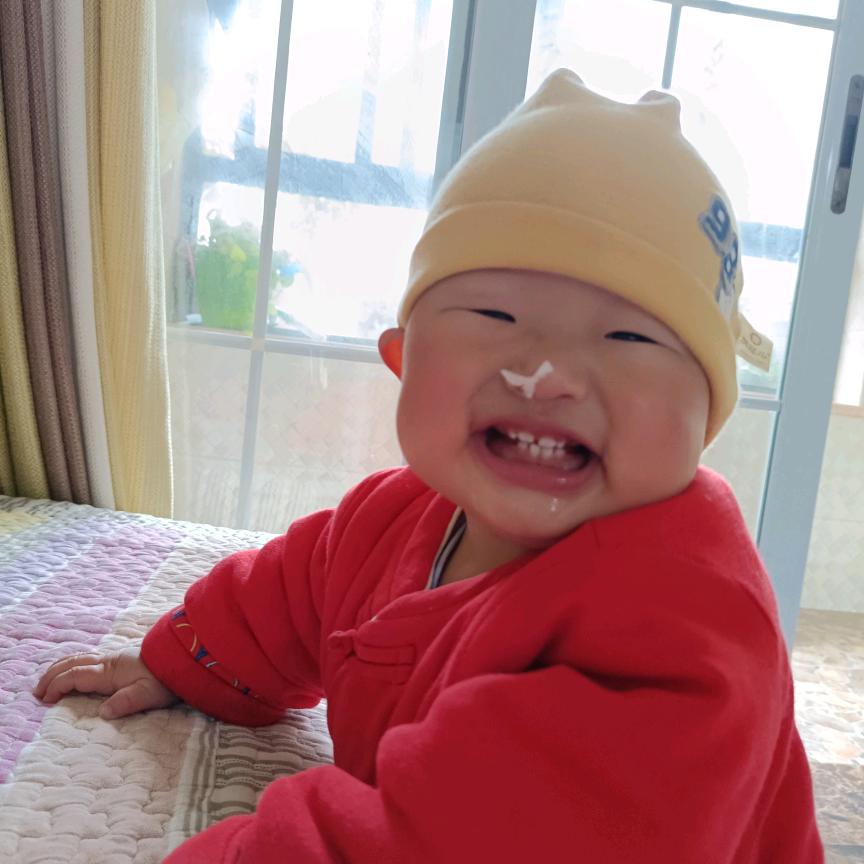 乌龟赛摩托