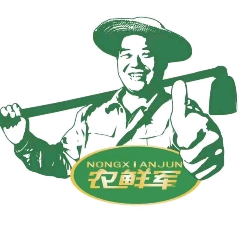农鲜军餐厅体验店