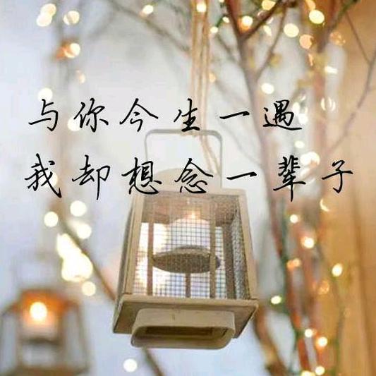 爱上未来的你